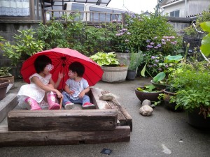 梅雨の庭