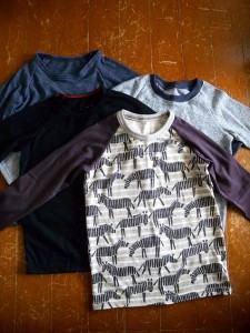 シマウマＴシャツ　他