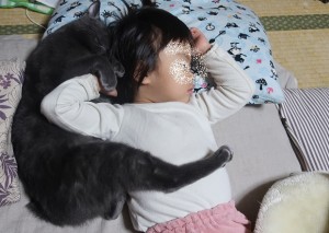 猫と子